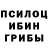 Псилоцибиновые грибы прущие грибы TheAkatsukiPlagueDoctor