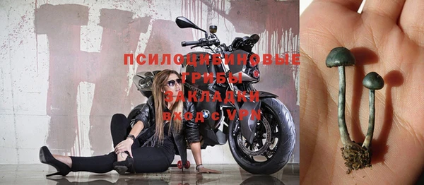 твердый Белокуриха