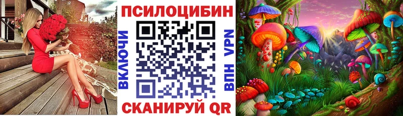 где купить наркоту  Верхняя Пышма  Галлюциногенные грибы GOLDEN TEACHER 