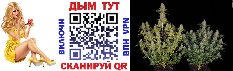 купить   Верхняя Пышма  Каннабис THC 21% 